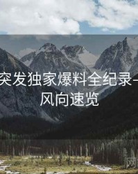 吃瓜51突发独家爆料全纪录——深夜风向速览
