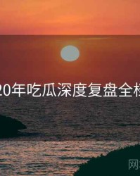 2020年吃瓜深度复盘全档案