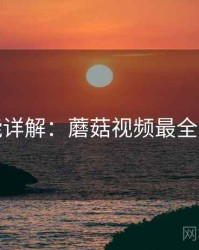 功能详解：蘑菇视频最全汇总