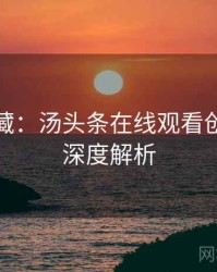 粉丝必藏：汤头条在线观看创作手册深度解析