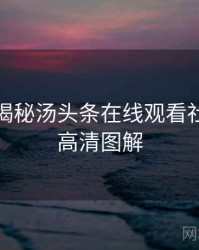 老用户揭秘汤头条在线观看社区热议高清图解