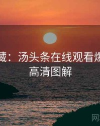 粉丝必藏：汤头条在线观看爆点整理高清图解