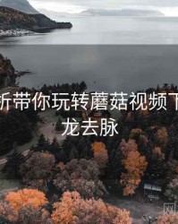 热搜剖析带你玩转蘑菇视频下载，来龙去脉