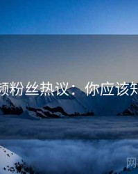 蘑菇视频粉丝热议：你应该知道的事