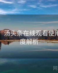 超详细！汤头条在线观看使用心得深度解析