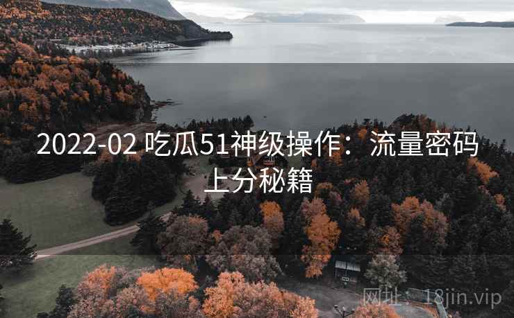2022-02 吃瓜51神级操作：流量密码上分秘籍