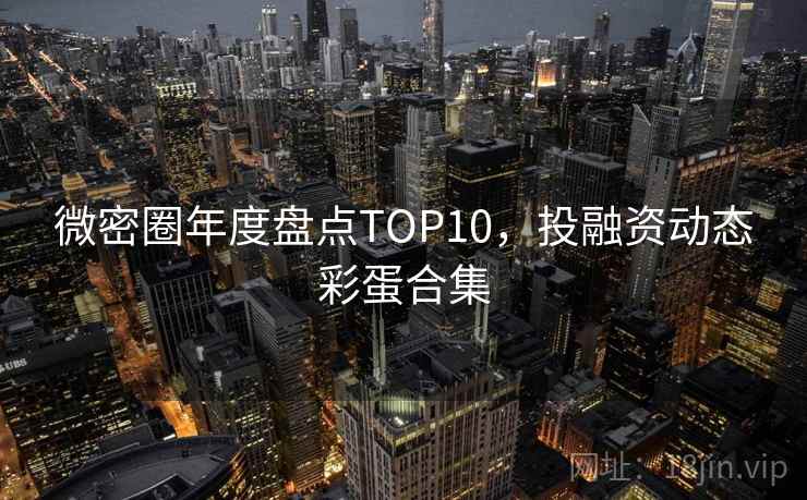 微密圈年度盘点TOP10，投融资动态彩蛋合集