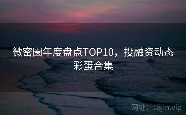 微密圈年度盘点TOP10，投融资动态彩蛋合集